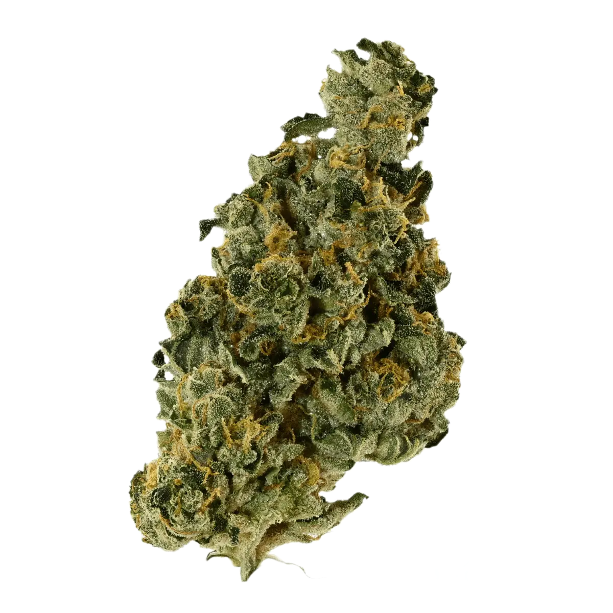 Remexian 33/1 1 HMA LOG minis Cannabisbl&uuml;ten
